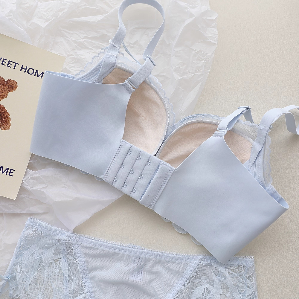 French Back Garden Lingerie Wo - đánh giá và giá Underwire Bra Padded