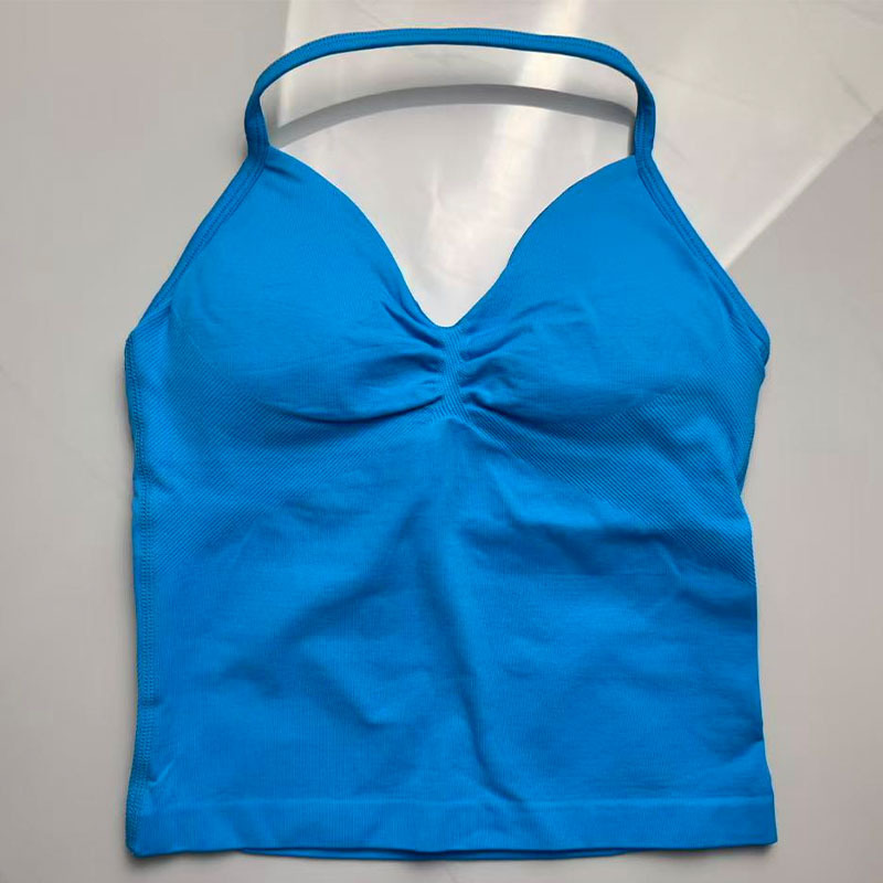 Women Yoga Sports Bra Seamless - đánh giá và giá T Shirt Bra Seamless